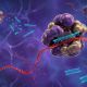 RNA interferencia