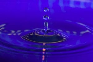 Abiotické faktory prostredia