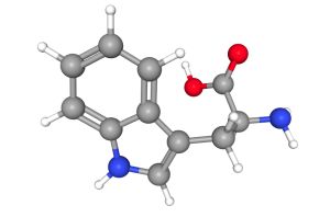 Aminokyseliny - základné stavebné jednotky bielkovín