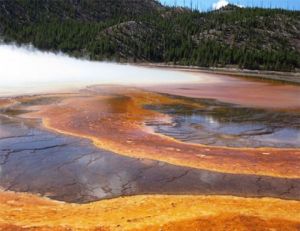 Archeóny - priekopníci života