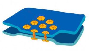 Medzibunková komunikácia