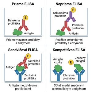 Schematické porovnanie štyroch základných typov metódy ELISA