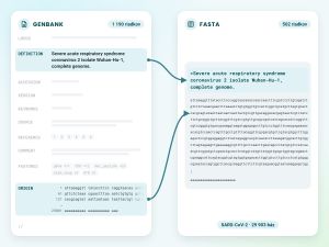 GenBank na FASTA