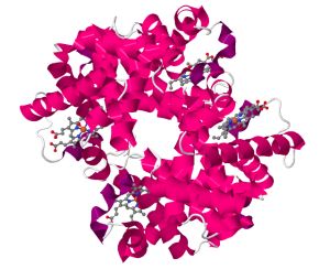 Separácia proteínov - hydrofóbna chromatografia
