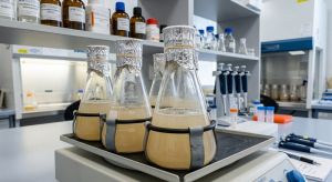 Heterologická expresia proteínov