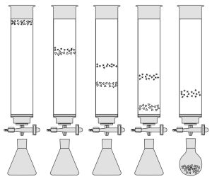 Schéma kvapalinovej chromatografie