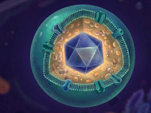 Lyzozómy a mikrotelieska