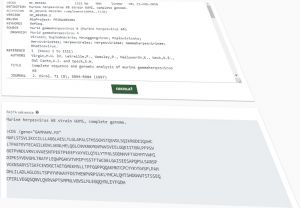 GenBank extraktor proteínov