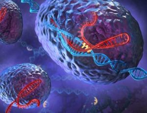 Regulácia génovej expresie