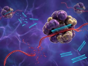 RNA interferencia