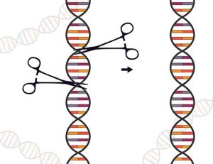 CRISPR-Cas9