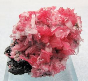 rodonit