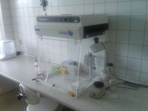 Polymerázová reťazová reakcia - PCR