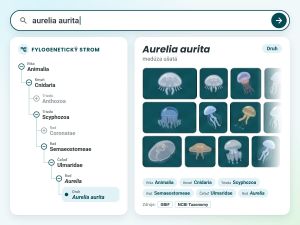 Taxonomické vyhľadávanie