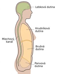 Telové dutiny