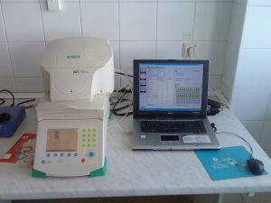 Kvantitatívna PCR (real-time PCR)