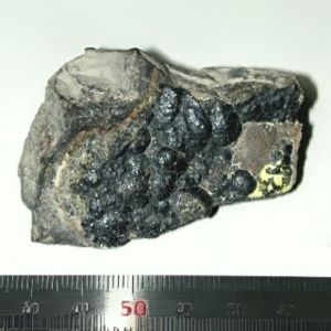 smolinec