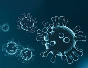 Klasifikácia vírusov