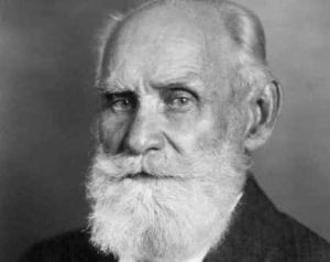 Vyššia nervová činnosť