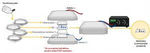 Prenos proteínov pri metóde western blot