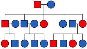 Základné genetické pojmy
